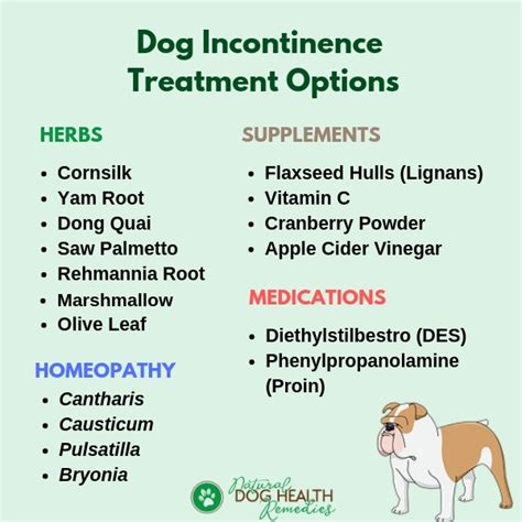 dog incontinence after spay|(PDF) Canine Urinary Incontinence Post